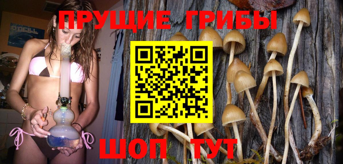Галлюциногенные грибы Cubensis Ишимбай