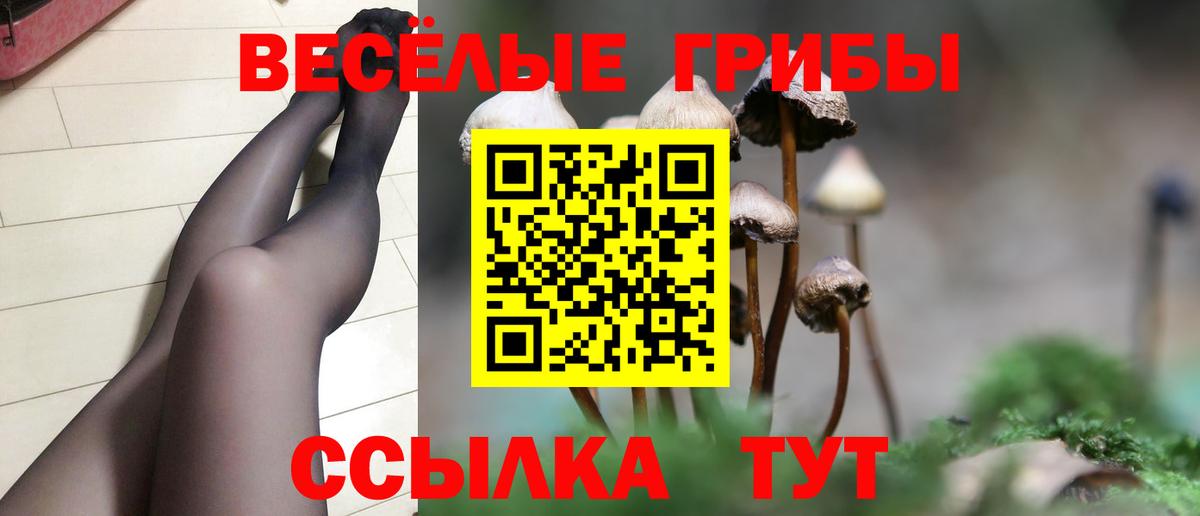 Ишимбай  Галлюциногенные грибы GOLDEN TEACHER  Галлюциногенные грибы мухоморы  Вход с VPN 